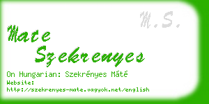 mate szekrenyes business card